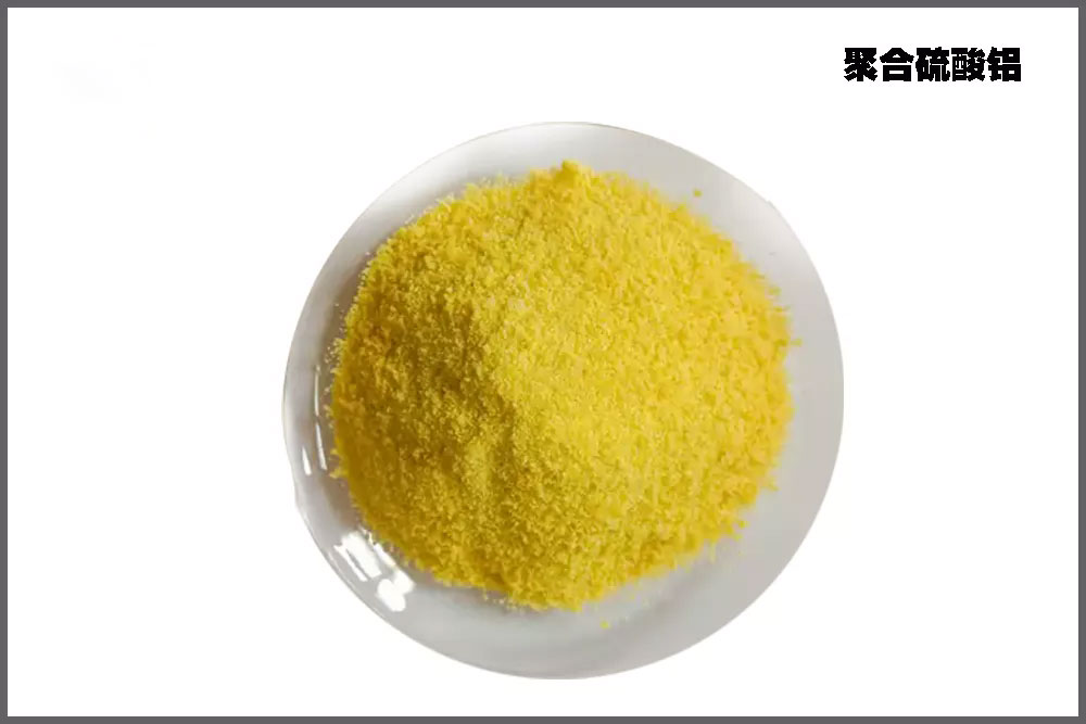 �ۺ�������