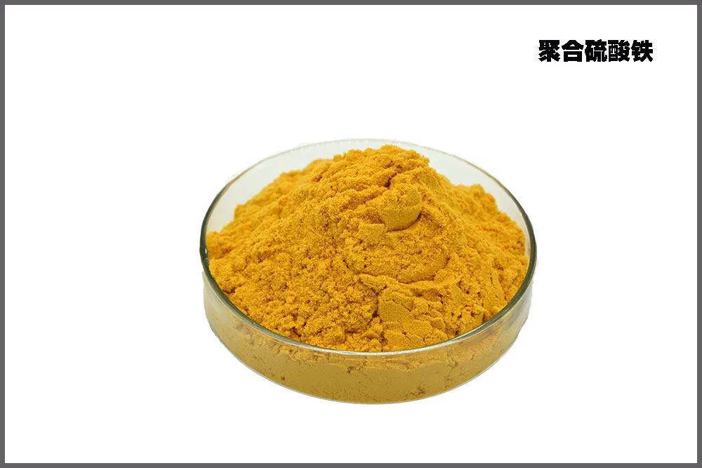 �ۺ�������