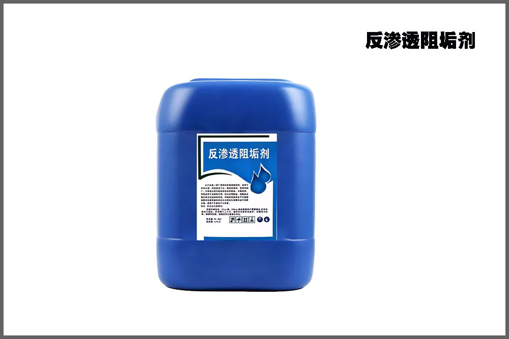 ����͸�蹸��