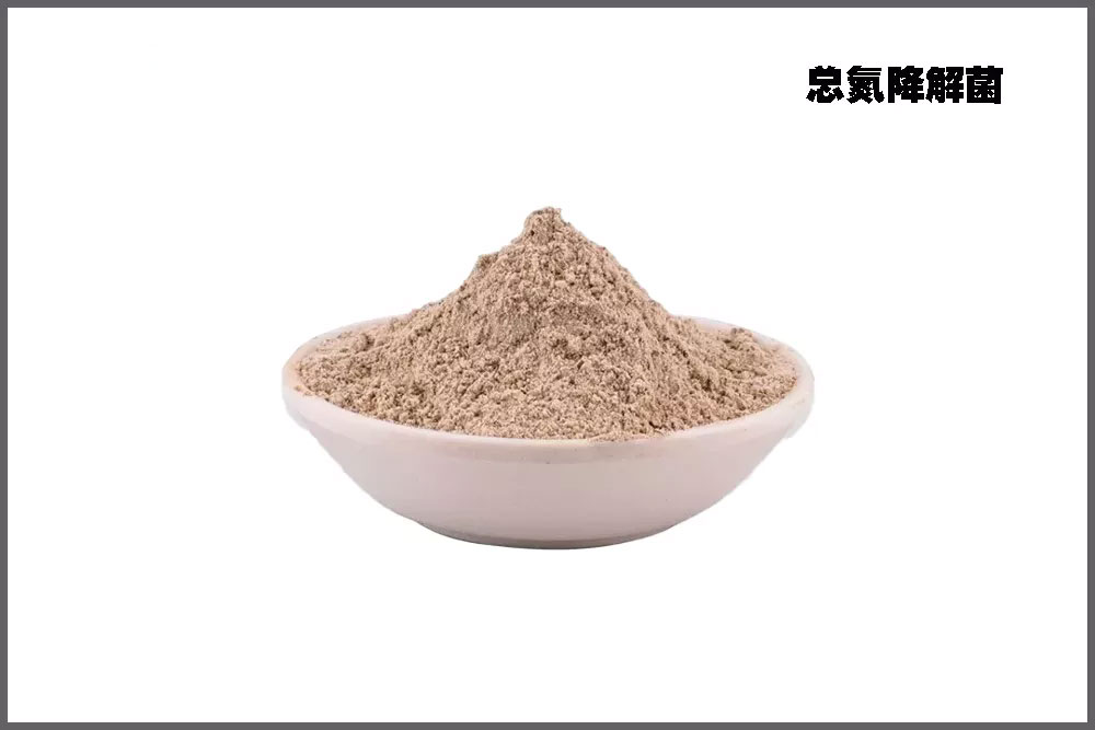 �ܵ������