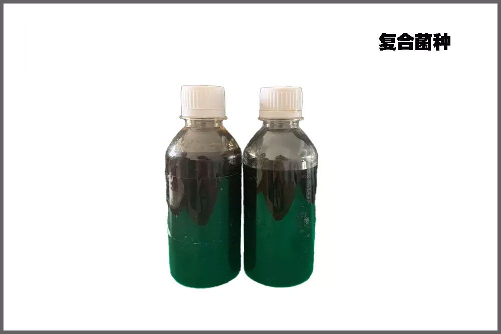 ���Ͼ���