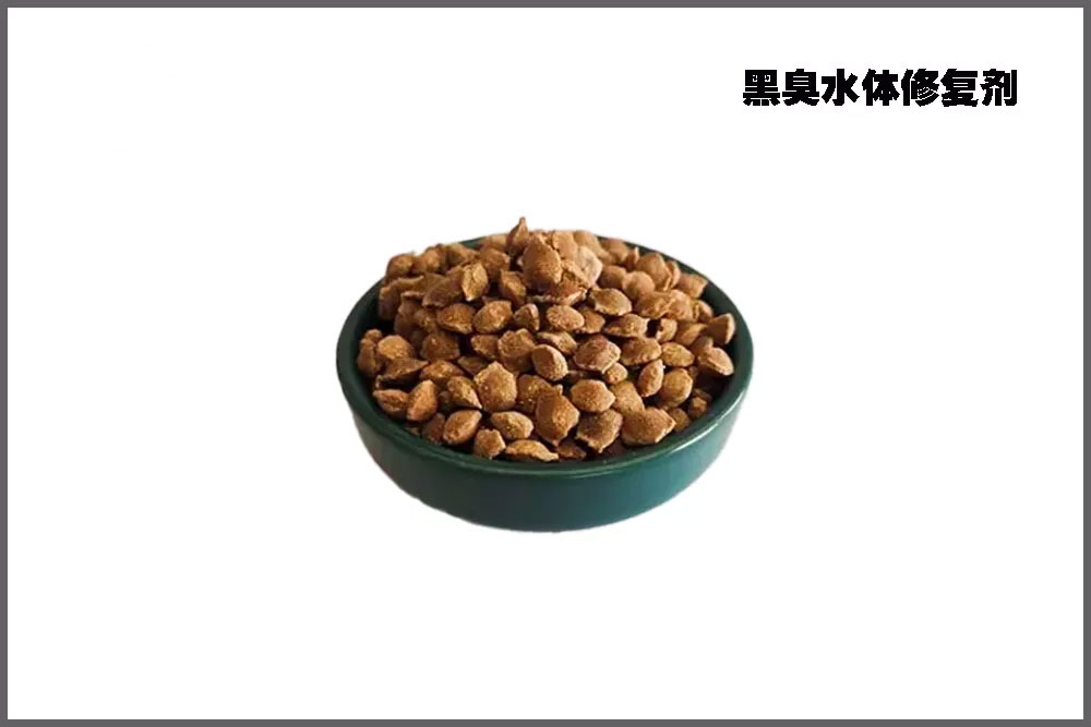 �ڳ�ˮ���޸���