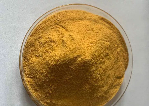 ����ȥ����