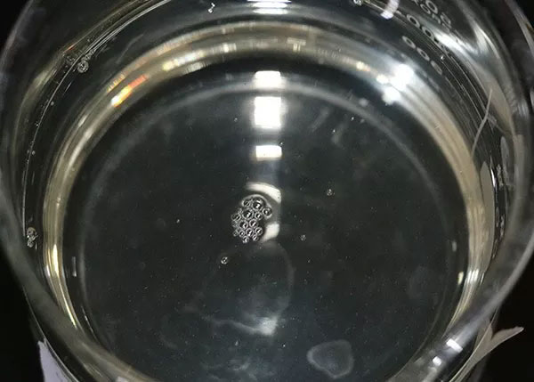 ճ������